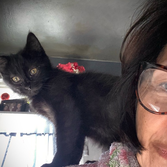 Meet your Posher, Li - Picture 9 of 12